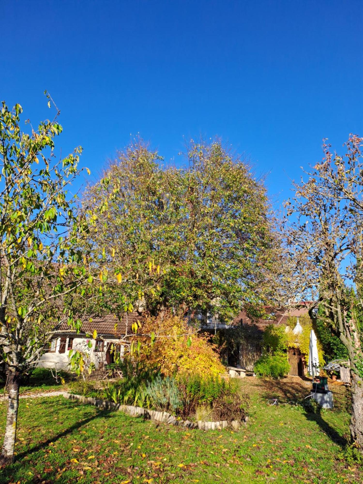 Inspirations - Chambres D'Hotes Saint-Loup-Geanges Exterior foto
